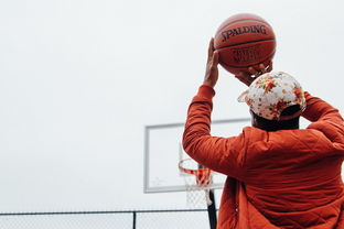 SPORTS-APP下载-篮球运动员专项技能提升路径与训练方法，篮球运动员的训练项目