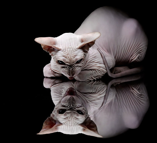 B体育下载-球队青训成果显现，U18梯队表现稳定成长，u18集训名单